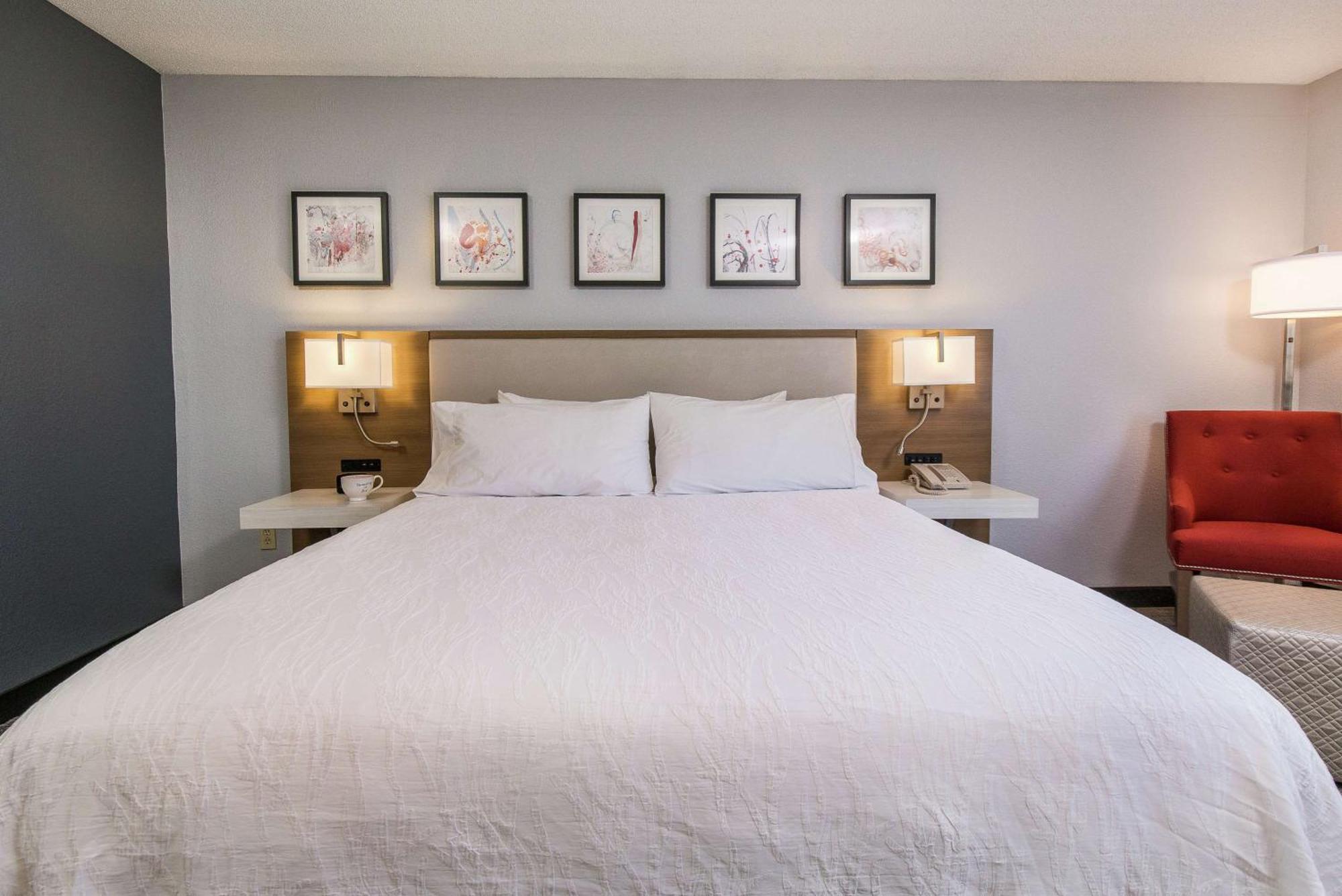Hilton Garden Inn Atlanta Northpoint Альфаретта Экстерьер фото