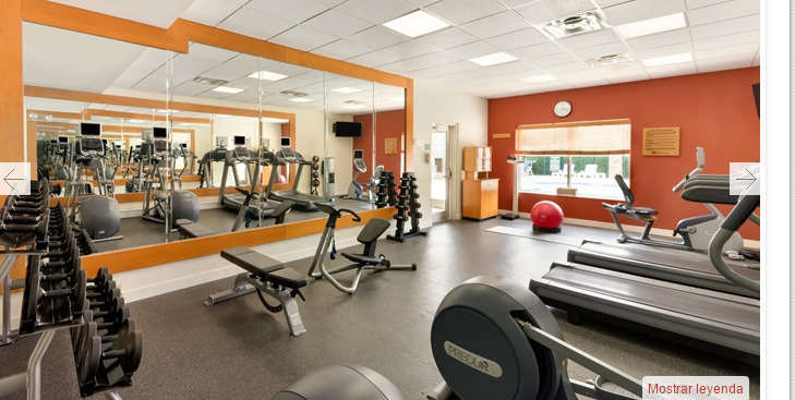 Hilton Garden Inn Atlanta Northpoint Альфаретта Экстерьер фото